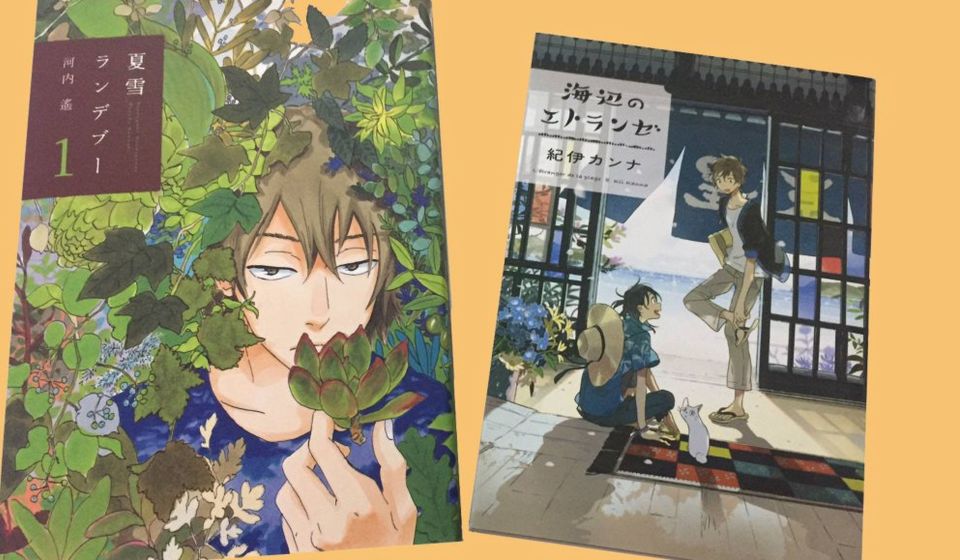 Flashbook annuncia i manga Umibe no Etranger e Natsuyuki Rendezvous